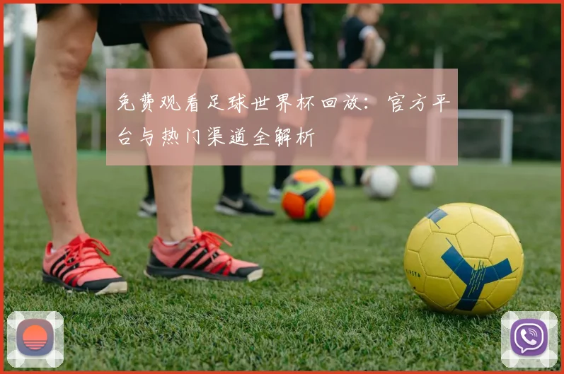 免费观看足球世界杯回放：官方平台与热门渠道全解析