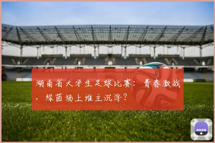 湖南省大学生足球比赛：青春激战，绿茵场上谁主沉浮？