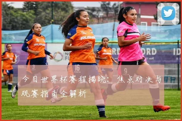 今日世界杯赛程揭晓：焦点对决与观赛指南全解析