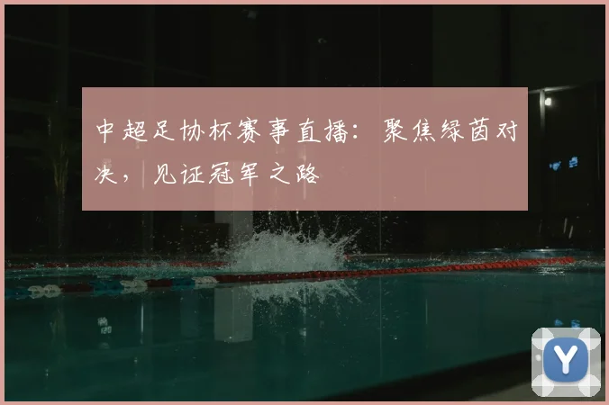 中超足协杯赛事直播：聚焦绿茵对决，见证冠军之路