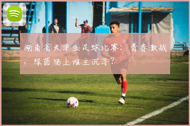 湖南省大学生足球比赛：青春激战，绿茵场上谁主沉浮？